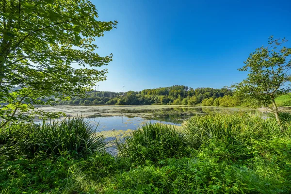 Keddinghausen yakınlarındaki rezervuarın ve çevrenin manzarası. Bueren yakınlarındaki göl manzarası. Keddinghaeuser Gölü.