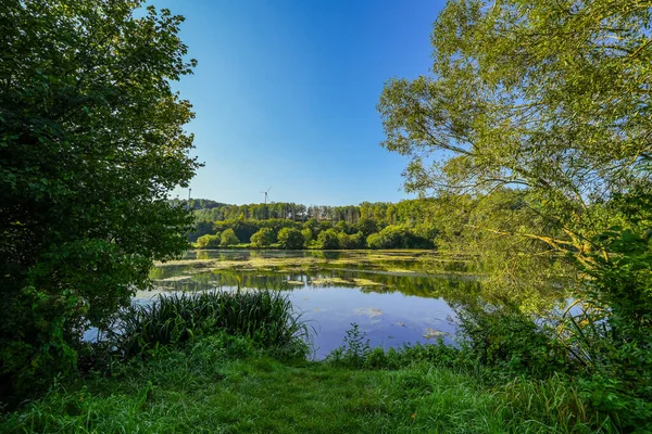 Keddinghausen yakınlarındaki rezervuarın ve çevrenin manzarası. Bueren yakınlarındaki göl manzarası. Keddinghaeuser Gölü.