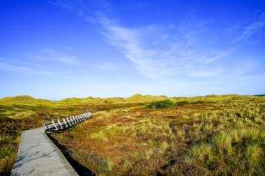 Kuzey Frizya adası Amrum 'daki kum tepelerinin manzarası. Kuzeyde manzara var. Kuzey Denizi adasında doğa.