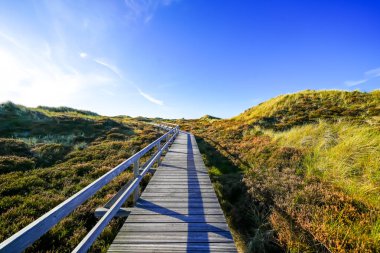 Kuzey Frizya adası Amrum 'daki kum tepelerinin manzarası. Kuzeyde manzara var. Kuzey Denizi adasında doğa.