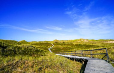 Kuzey Frizya adası Amrum 'daki kum tepelerinin manzarası. Kuzeyde manzara var. Kuzey Denizi adasında doğa.