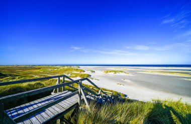 Kuzey Frizya adası Amrum 'daki kum tepelerinin manzarası. Kuzeyde manzara var. Kuzey Denizi adasında doğa.
