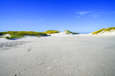 Kuzey Frizya adası Amrum 'daki kum tepelerinin manzarası. Kuzeyde manzara var. Kuzey Denizi adasında doğa.