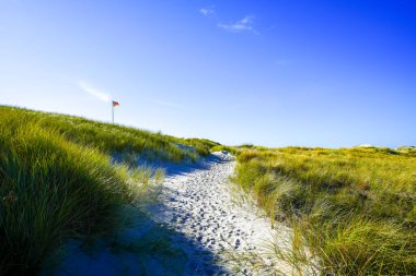 Kuzey Frizya adası Amrum 'daki kum tepelerinin manzarası. Kuzeyde manzara var. Kuzey Denizi adasında doğa.