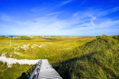 Kuzey Frizya adası Amrum 'daki kum tepelerinin manzarası. Kuzeyde manzara var. Kuzey Denizi adasında doğa.