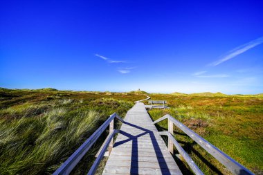 Kuzey Frizya adası Amrum 'daki kum tepelerinin manzarası. Kuzeyde manzara var. Kuzey Denizi adasında doğa.