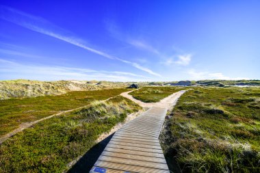 Kuzey Frizya adası Amrum 'daki kum tepelerinin manzarası. Kuzeyde manzara var. Kuzey Denizi adasında doğa.
