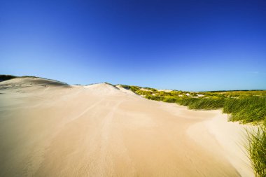 Kuzey Frizya adası Amrum 'daki kum tepelerinin manzarası. Kuzeyde manzara var. Kuzey Denizi adasında doğa.