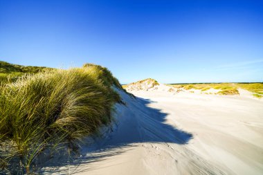 Kuzey Frizya adası Amrum 'daki kum tepelerinin manzarası. Kuzeyde manzara var. Kuzey Denizi adasında doğa.