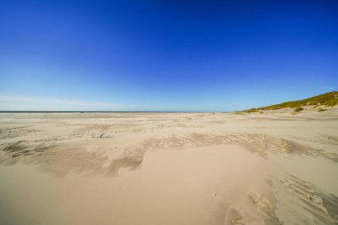 Kuzey Frizya adası Amrum 'daki kum tepelerinin manzarası. Kuzeyde manzara var. Kuzey Denizi adasında doğa.
