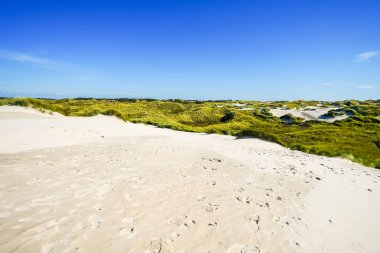 Kuzey Frizya adası Amrum 'daki kum tepelerinin manzarası. Kuzeyde manzara var. Kuzey Denizi adasında doğa.