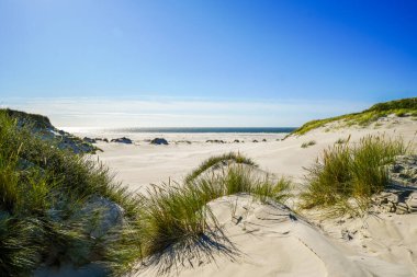 Kuzey Frizya adası Amrum 'daki kum tepelerinin manzarası. Kuzeyde manzara var. Kuzey Denizi adasında doğa.