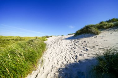 Kuzey Frizya adası Amrum 'daki kum tepelerinin manzarası. Kuzeyde manzara var. Kuzey Denizi adasında doğa.