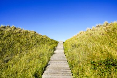Kuzey Frizya adası Amrum 'daki kum tepelerinin manzarası. Kuzeyde manzara var. Kuzey Denizi adasında doğa.