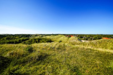 Kuzey Frizya adası Amrum 'daki kum tepelerinin manzarası. Kuzeyde manzara var. Kuzey Denizi adasında doğa.