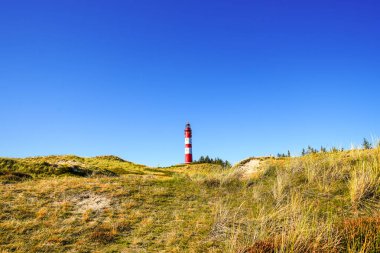 Kuzey Frizya adası Amrum 'daki kum tepelerinin manzarası. Kuzeyde manzara var. Kuzey Denizi adasında deniz feneri olan bir doğa..