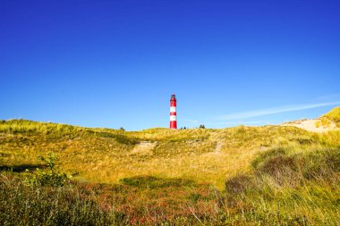 Kuzey Frizya adası Amrum 'daki kum tepelerinin manzarası. Kuzeyde manzara var. Kuzey Denizi adasında deniz feneri olan bir doğa..