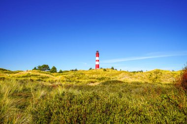 Kuzey Frizya adası Amrum 'daki kum tepelerinin manzarası. Kuzeyde manzara var. Kuzey Denizi adasında deniz feneri olan bir doğa..