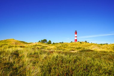 Kuzey Frizya adası Amrum 'daki kum tepelerinin manzarası. Kuzeyde manzara var. Kuzey Denizi adasında deniz feneri olan bir doğa..