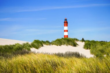Kuzey Frizya adası Amrum 'daki kum tepelerinin manzarası. Kuzeyde manzara var. Kuzey Denizi adasında deniz feneri olan bir doğa..