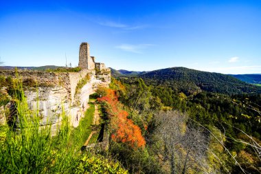 Altdahn Şatosu 'nun manzarası ve çevresini çevreleyen yeşil ormanlı manzara. Palatinate bölgesindeki Ortaçağ kaya kalesinde doğa..
