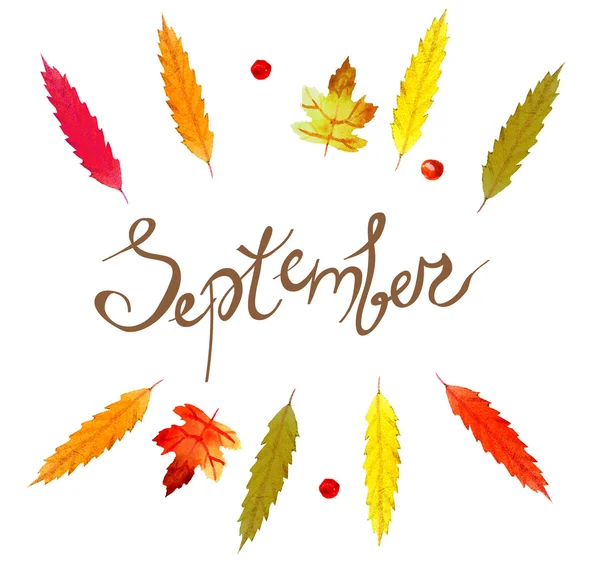九月字母在叶子框架，秋天元素和模板橙色在白色背景。时髦的背景。秋季模板. — 图库照片