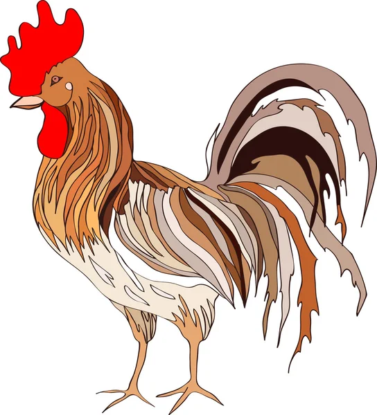 插图描绘彩色的公鸡。矢量 — 图库矢量图片
