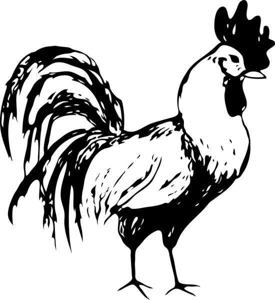 Illustration avec l'image d'un coq noir et blanc. Vecteur — Image vectorielle