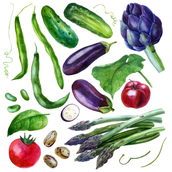 Ilustracja Akwareli Warzywa Pomidory Ogórki Karczochy Fasola Szparagi Bakłażana Izolowana — Zdjęcie stockowe