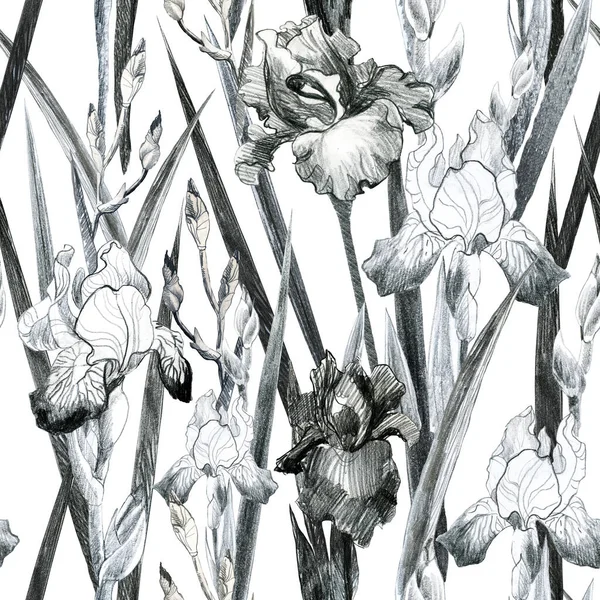 Ilustracja Wzór Kwiatowy Tęczówki Ołówka Ręczny Rysunek Kwiatów — Zdjęcie stockowe