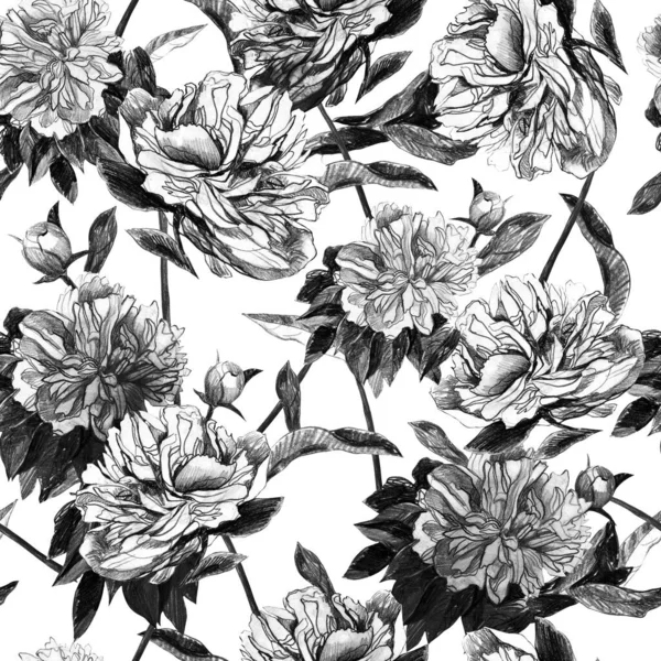 Ilustracja Ołówek Piwonia Wzór Kwiat Ręczny Rysunek Kwiatów — Zdjęcie stockowe