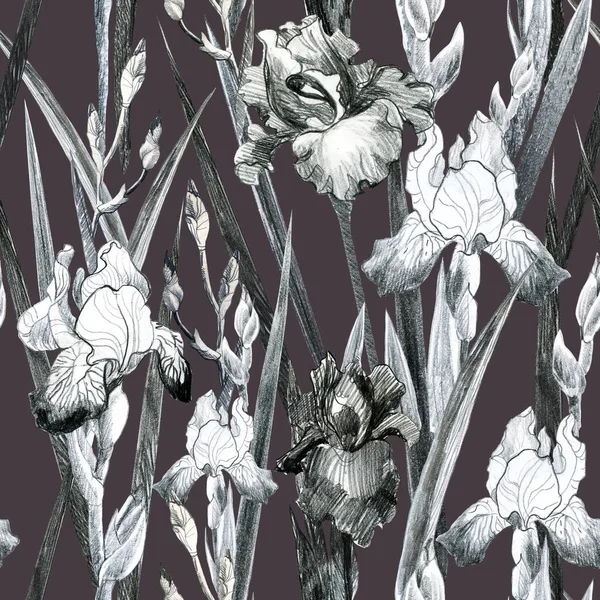 Ilustracyjny Ołówek Wzór Kwiatowy Iris Ręczny Rysunek Kwiatów — Zdjęcie stockowe