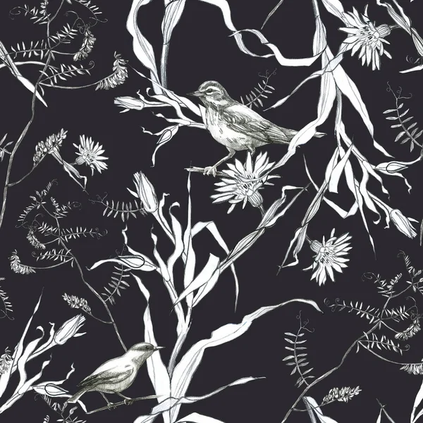 Illustration pencil. A pattern of leaves and branches of plants, birds. Freehand drawing of flowers on a dark gray background.