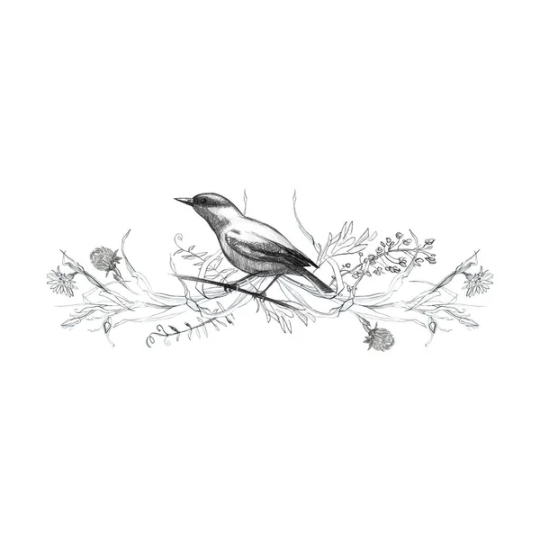 Lápiz Ilustración Viñeta Dibujo Aves Hojas Ramas Plantas Dibujo Mano — Foto de Stock