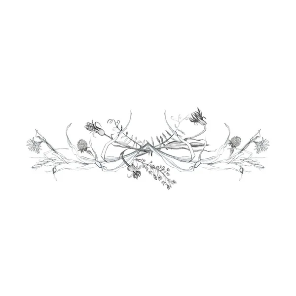 Illustrationspenna Vinjett Ritning Fåglar Blad Och Grenar Växter Frihandsritning Vit — Stockfoto