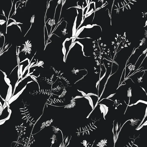 Illustration pencil. A pattern of leaves and branches of plants, birds. Freehand drawing of flowers on a black background.