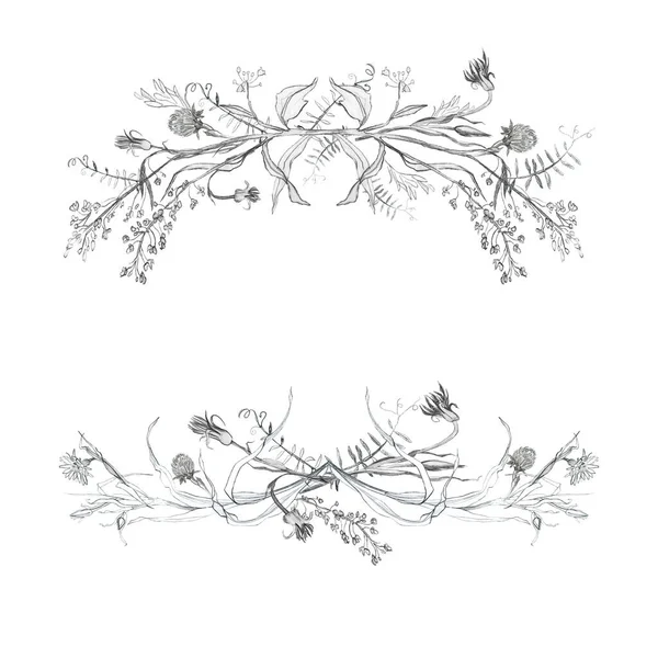 Ilustração Vinheta Lápis Set Desenho Pássaros Folhas Ramos Plantas Desenho — Fotografia de Stock
