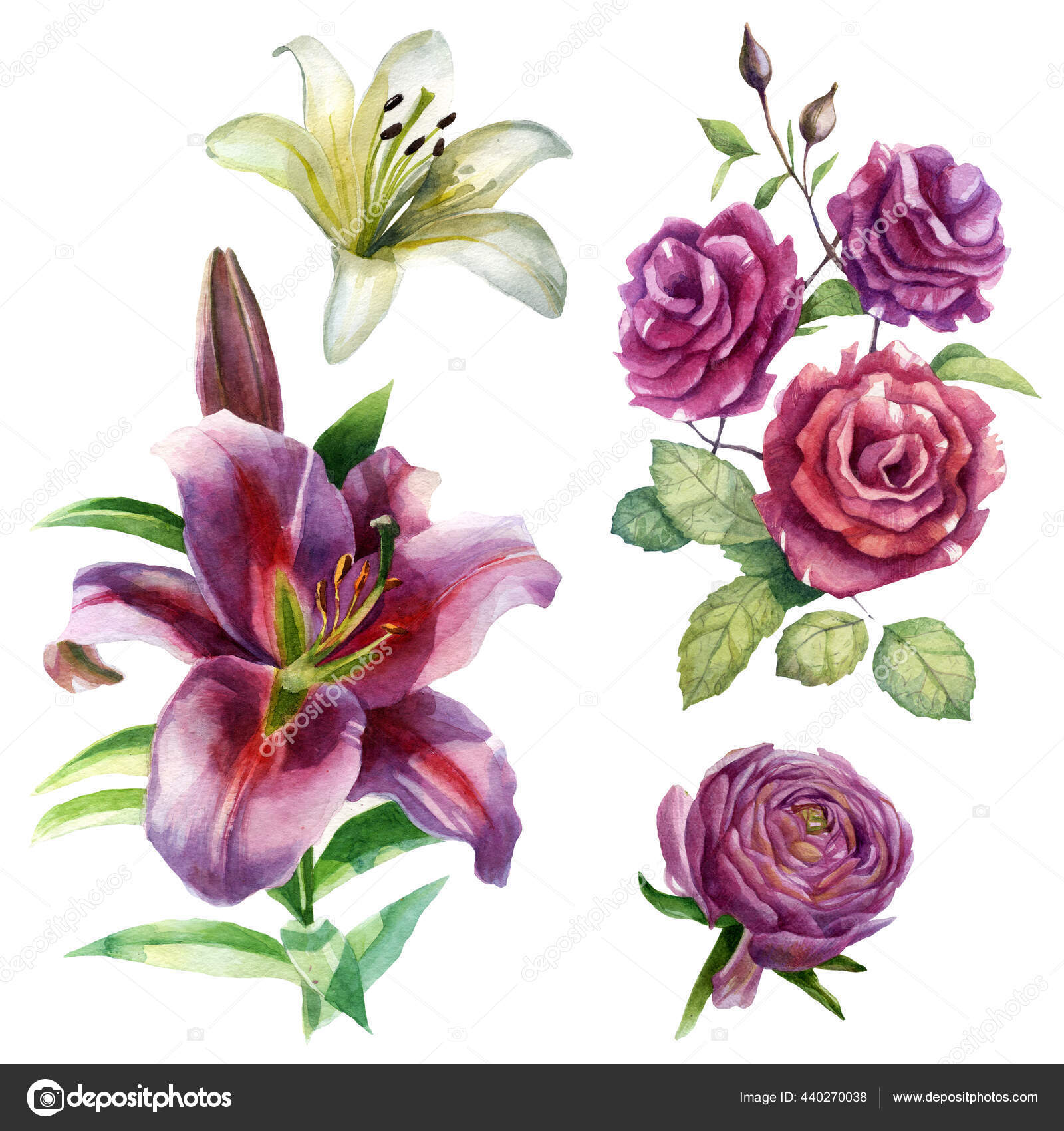 水彩画集百合花和兰花春夏动机 图库照片 C Margo Soleil Yandex Ru 水彩画集百合花和兰花春夏动机 图库照片 C Margo Soleil Yandex Ru