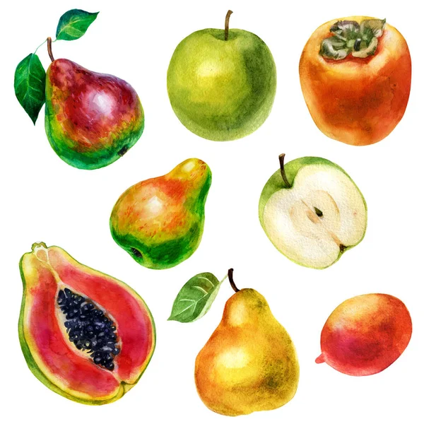 Aquarel Fruit Set Appels Peren Papaya Persimmon Mango — Stockfoto