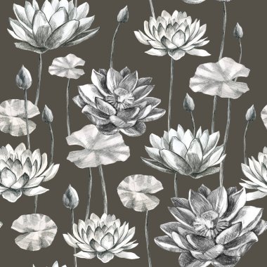 Lotus desenli çiçekler ve nilüfer yaprakları kurşun kalemle. Nilüfer çiçeği. Yaprak sapları ve nilüfer tomurcukları çizimi.