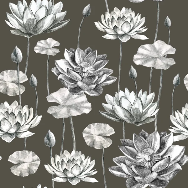 Lotusy Wzór Kwiaty Liście Lotosu Ołówku Lilia Wodna Ołówek Rysunek — Zdjęcie stockowe