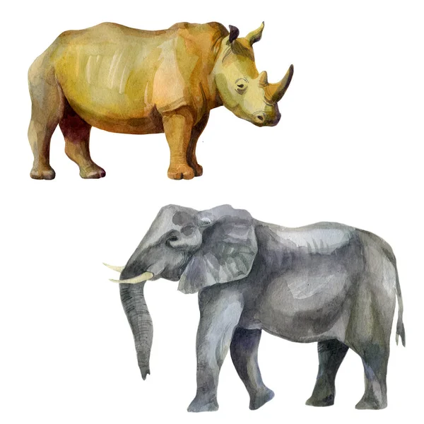 Aquarell Illustration Set Afrikanische Tropische Tiere Handgezeichnet Aquarell Nashorn Elefant — Stockfoto