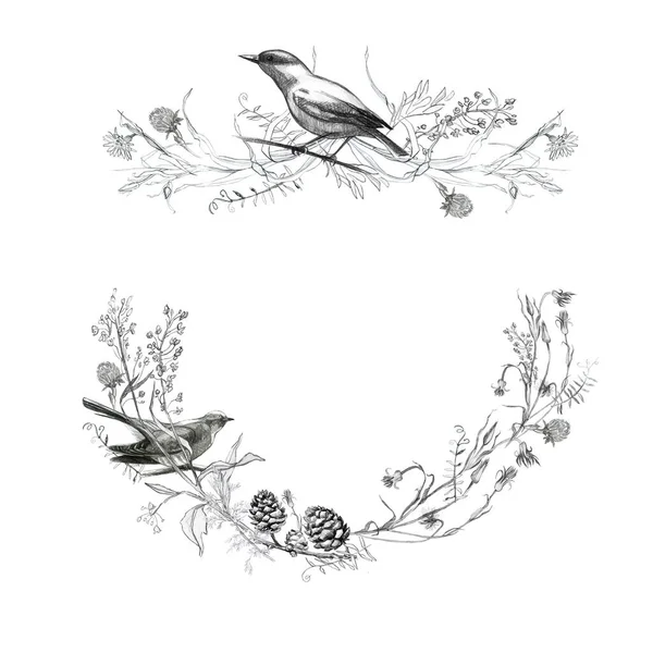 图解铅笔插画 画鸟类 树叶和植物的分枝 白底手绘图 免版税图库照片