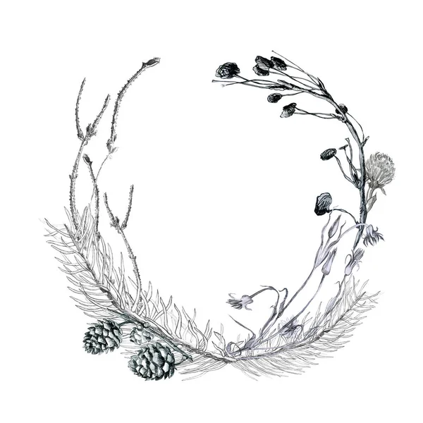 鸟类的叶子和分枝的框架 白底上的白花手绘 图库图片
