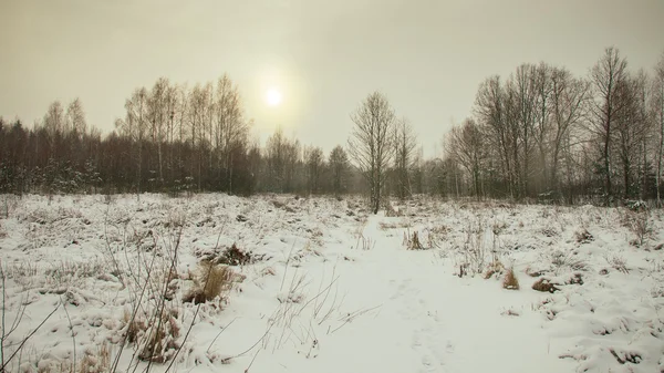 Winter, verschneiter Abend — Stockfoto