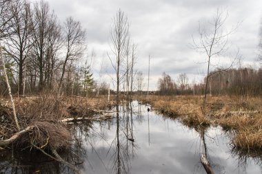 Dere üzerinde Kunduz Barajı.