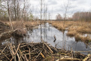 Dere üzerinde Kunduz Barajı.