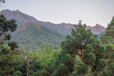 Alacakaranlıkta büyük Agulhas Negras dağı zirvesi. Itatiaia, Rio de Janeiro, Brezilya.