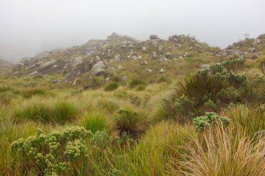 Sis altındaki Itatiaia Ulusal Parkı 'nın yüksek rakım bölgesindeki kayalık dağ manzarası. Rio de Janeiro, Brezilya.