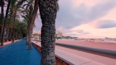 Dolly, gün batımında veya gün doğumunda güzel pembe ve mor bir gökyüzüne sahip kumlu bir plaj ve kıyı şehrini ortaya çıkaran, palmiye ağaçlarıyla kaplı, pitoresk bir deniz kenarı gezinti boyunca ilerlerken çekti.